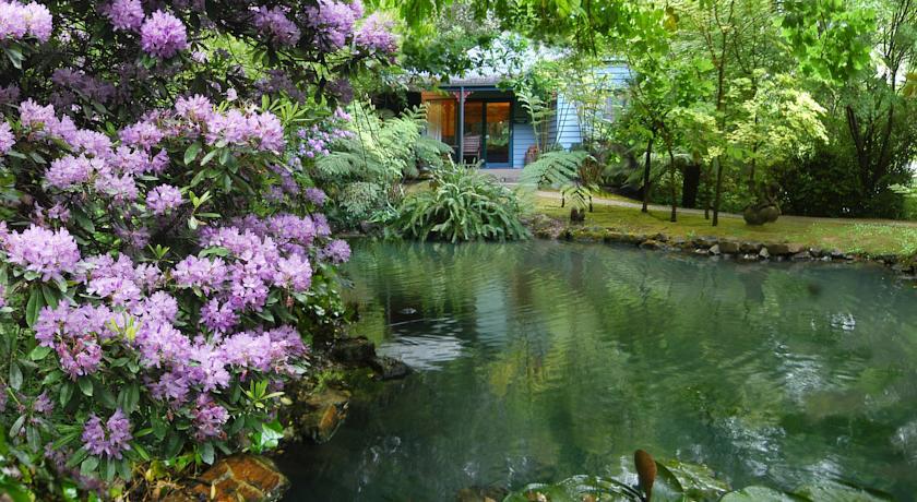 Cottages Monreale Sassafras 部屋 写真